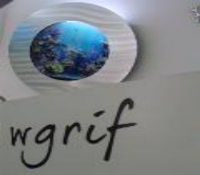 Wgrif - Aquários de Parede Decorativos